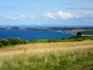 Kauri Cliffs 16th Tee